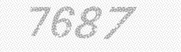 Visual security code — type the characters shown in the image